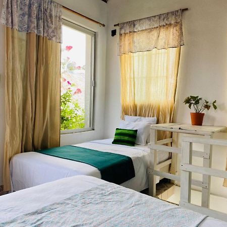Hotel Casa Mima Flores Zewnętrze zdjęcie