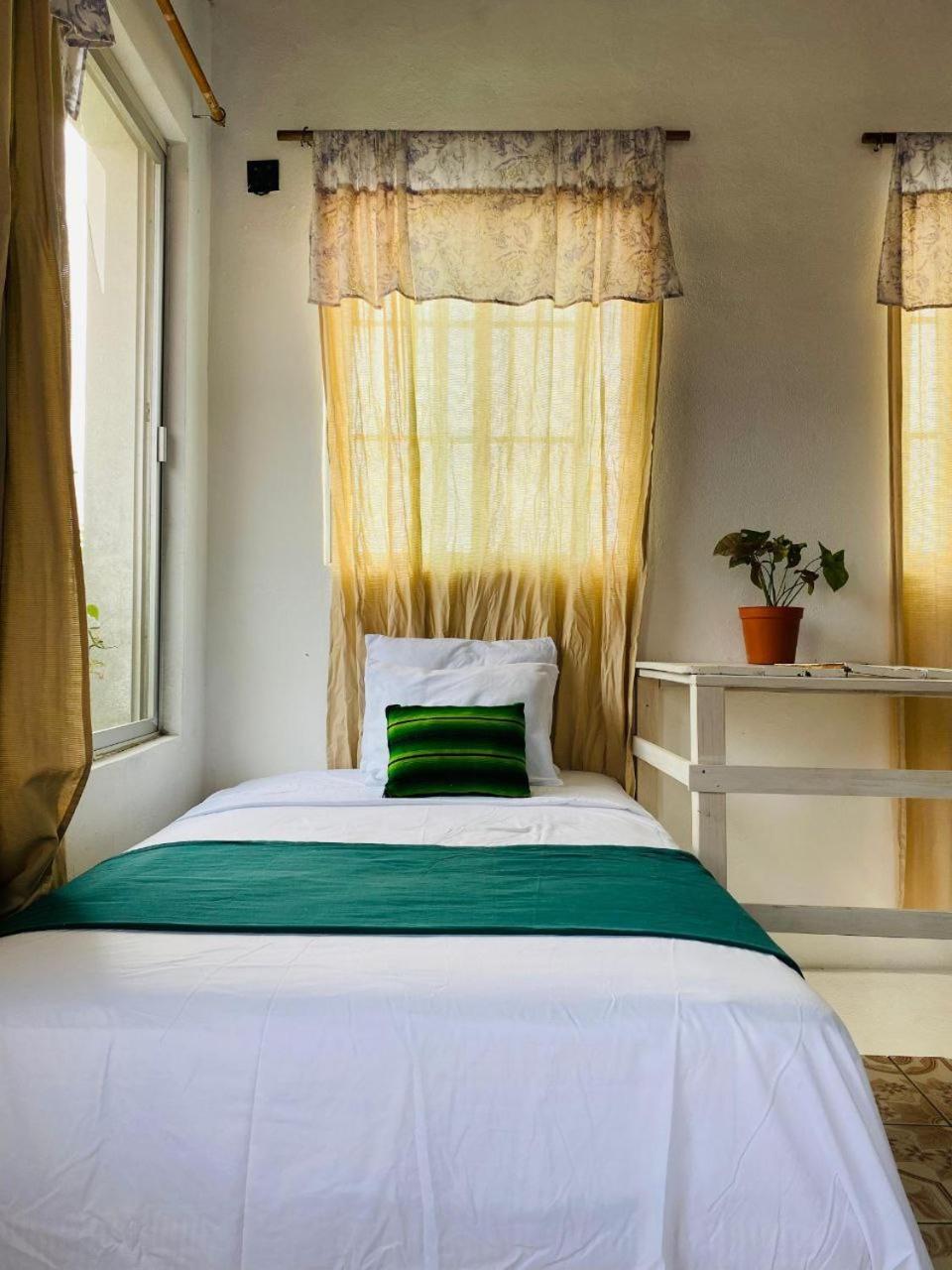 Hotel Casa Mima Flores Zewnętrze zdjęcie