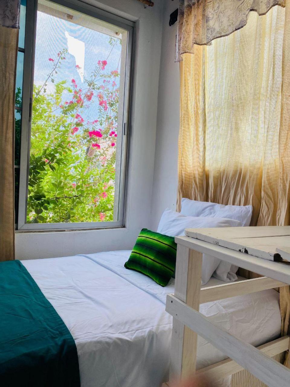 Hotel Casa Mima Flores Zewnętrze zdjęcie